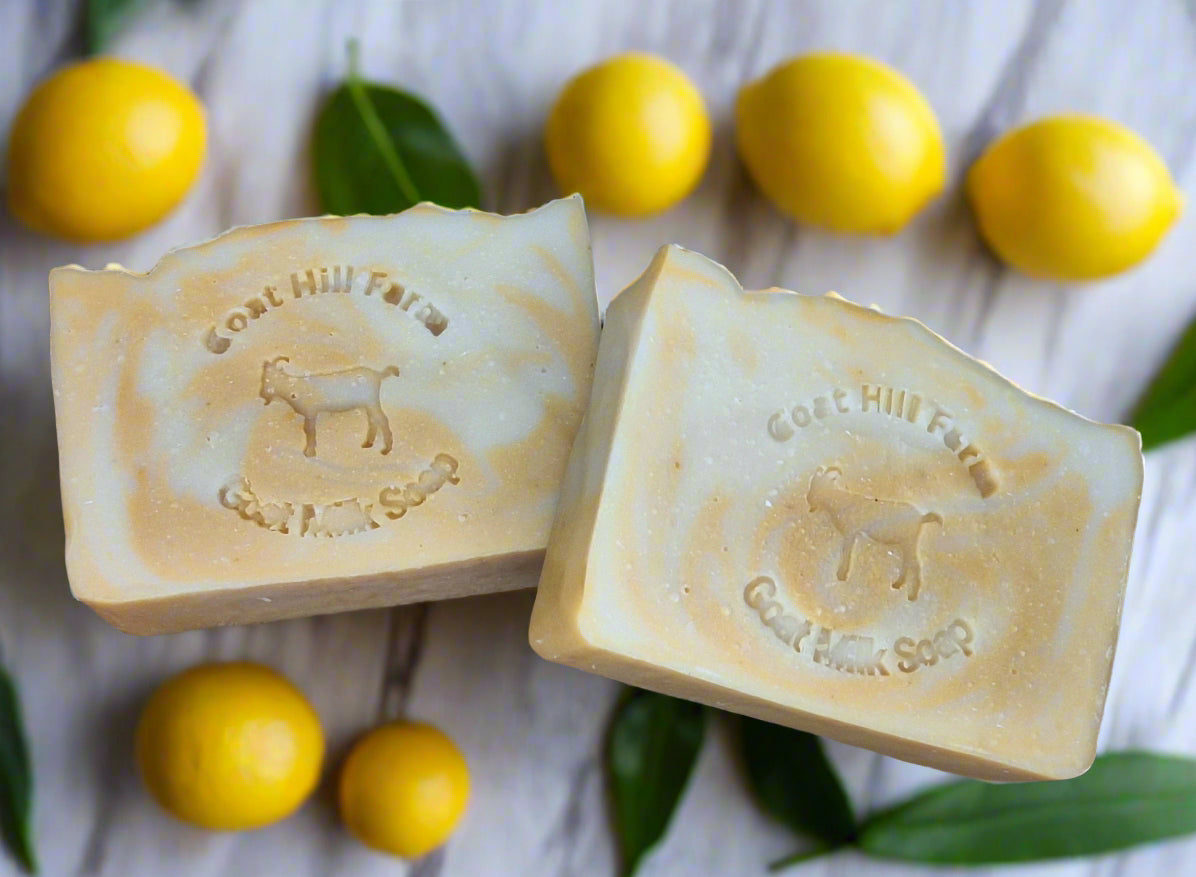 Goat MIlk Soap - Limoncello