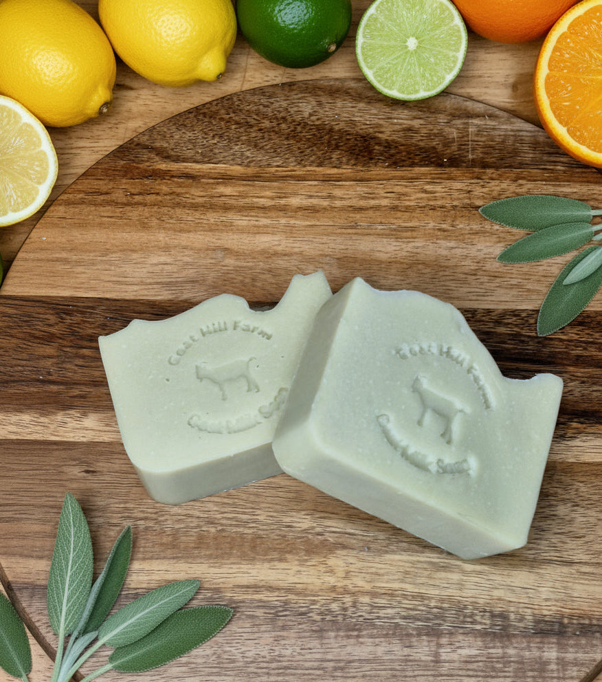 Goat MIlk Soap - Citrus Sage